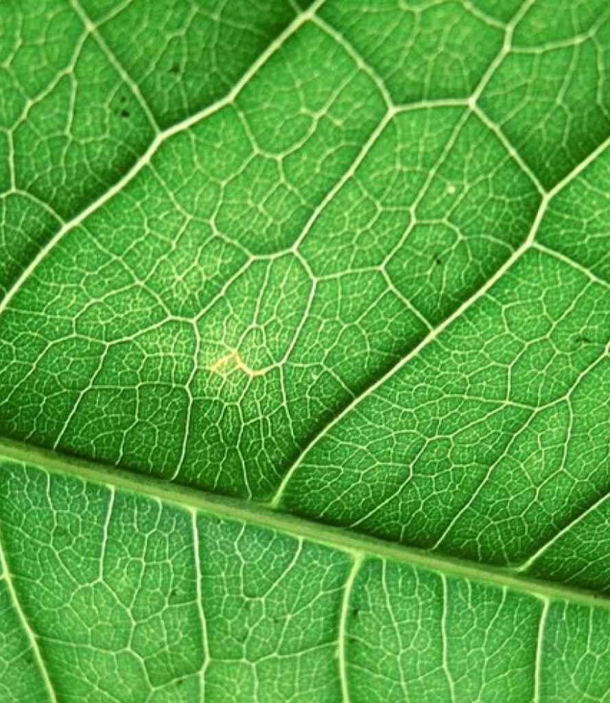 Contact natur'évie, Magasin bio Dole